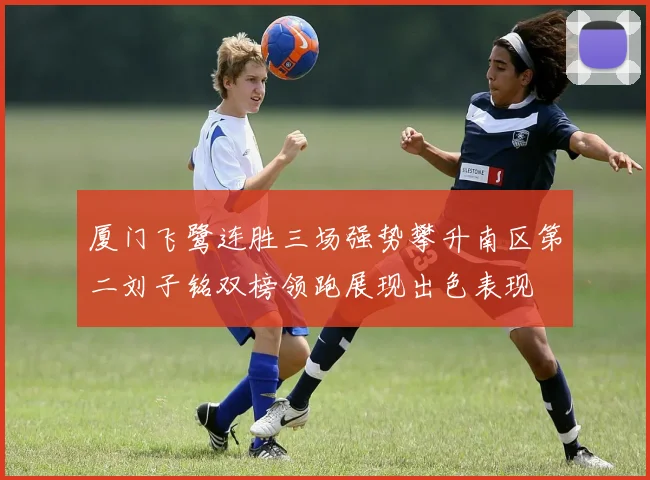 厦门飞鹭连胜三场强势攀升南区第二刘子铭双榜领跑展现出色表现