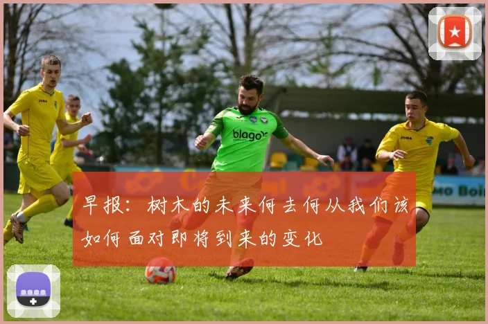 早报：树木的未来何去何从我们该如何面对即将到来的变化