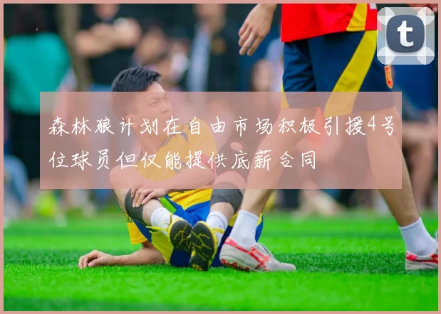森林狼计划在自由市场积极引援4号位球员但仅能提供底薪合同
