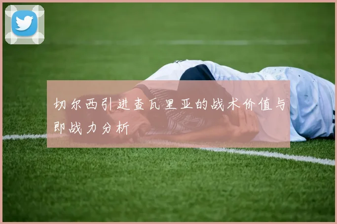 切尔西引进查瓦里亚的战术价值与即战力分析